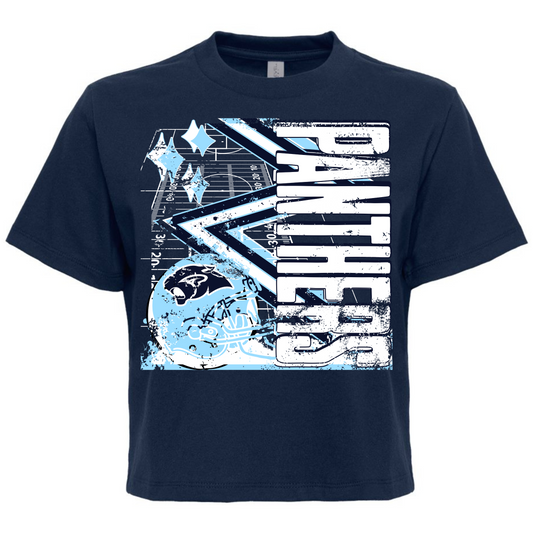 PREORDER Panthers Football Tee