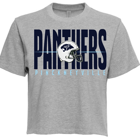 PREORDER Panthers Football Tee